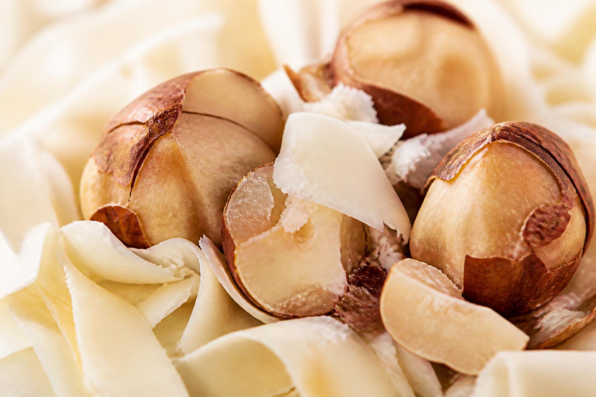 Macro photograph of roasted hazelnuts and white chocolate shards